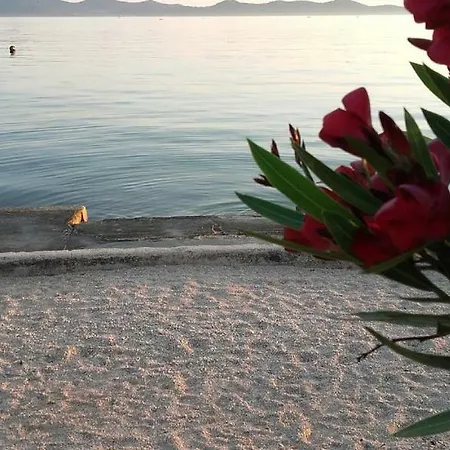 Daire Lara Zadar