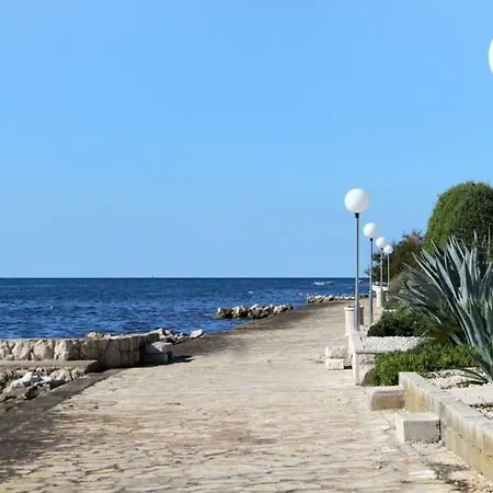 Lara Daire Zadar